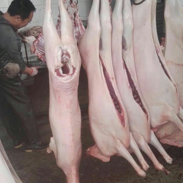 羊白条否带骨山羊肉