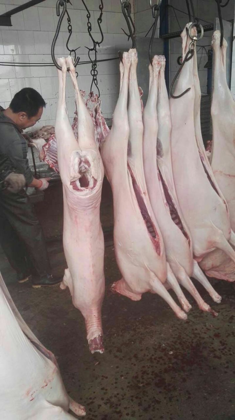 羊白条否带骨山羊肉