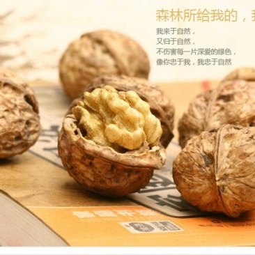 纸皮核桃去皮