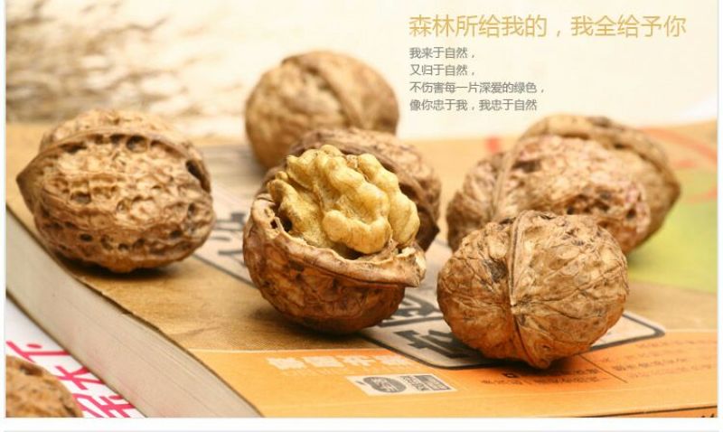 纸皮核桃去皮