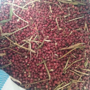 红小豆散装