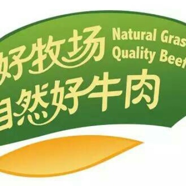 牛肉干黄牛肉鲜肉