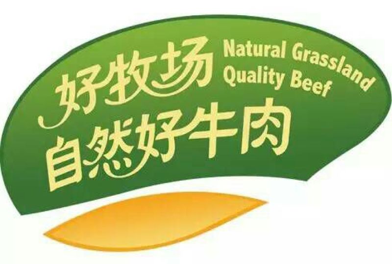 牛肉干黄牛肉鲜肉