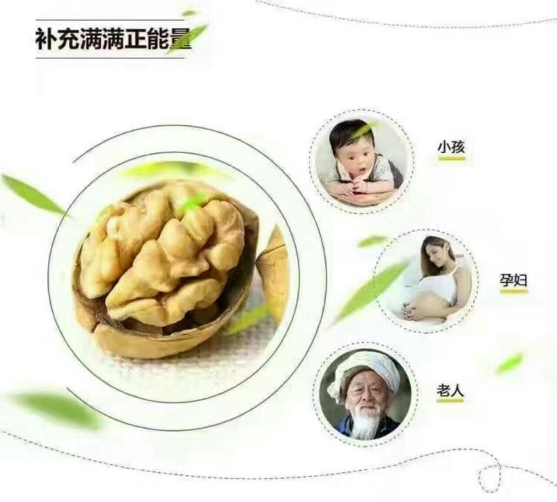 薄皮核桃30mm以上去皮干