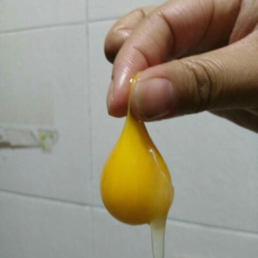 贵妃鸡蛋食用50g以下