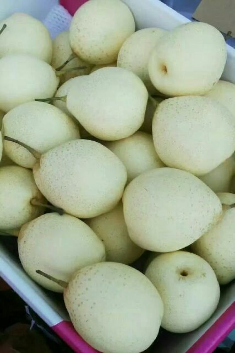 皇冠梨纸箱