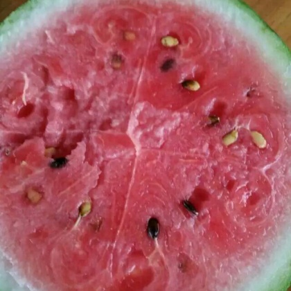 8424西瓜湖南岳阳市君山区_批发_供应-一亩田