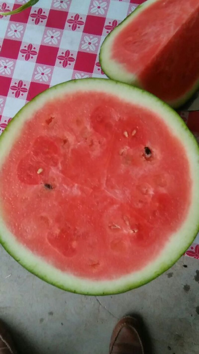 西瓜