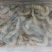 青虾食用26~30只/kg
