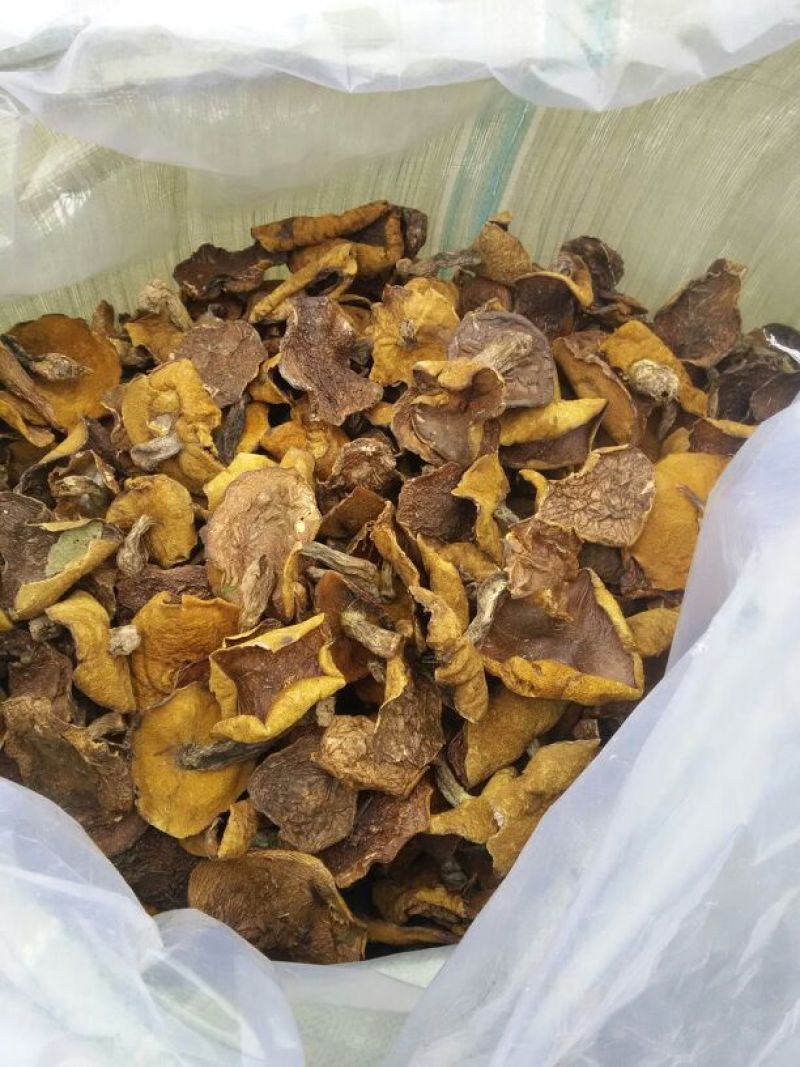 松蘑特级