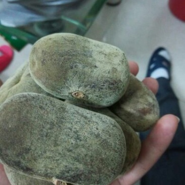 橘红化州产地直供
