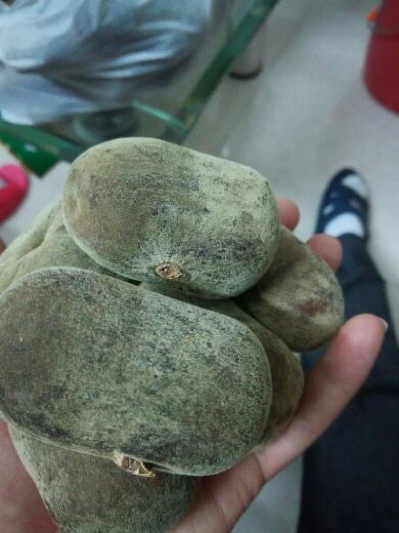 橘红化州产地直供