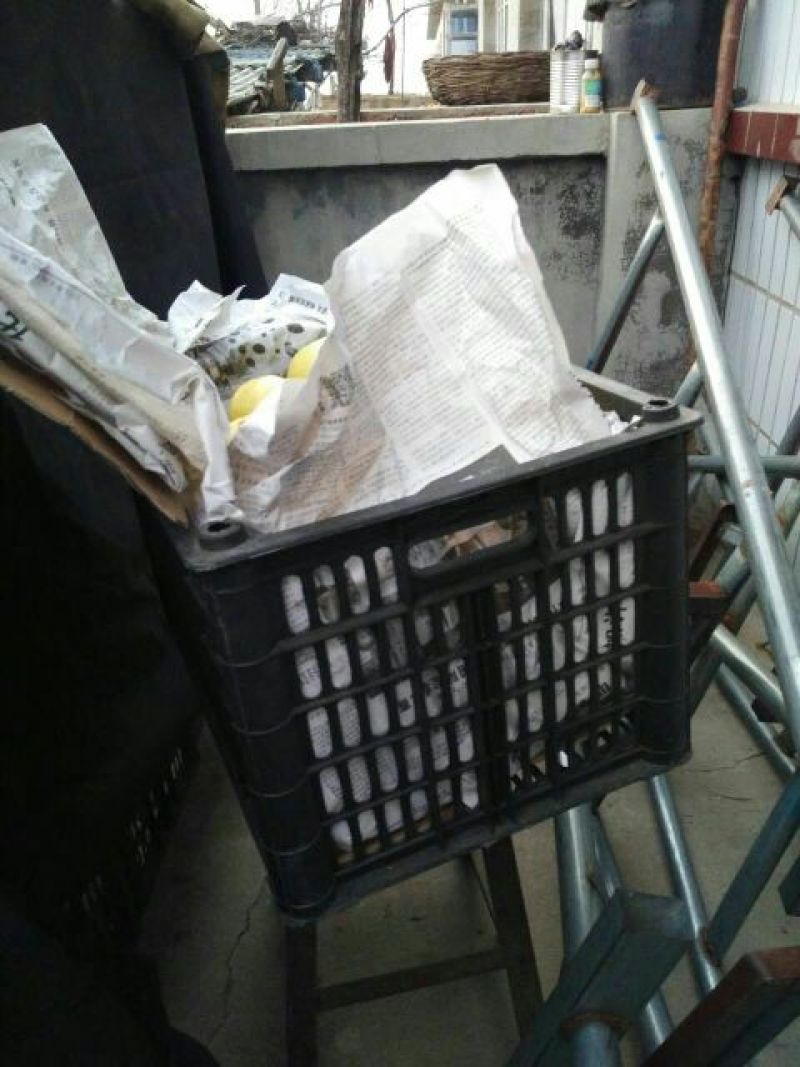 京白梨100~150g纸箱