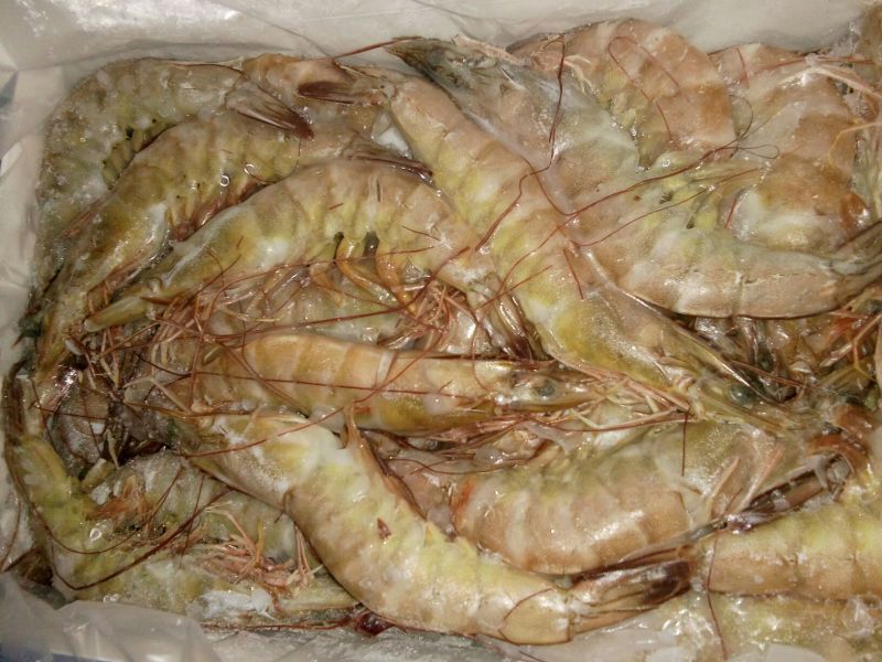 青虾