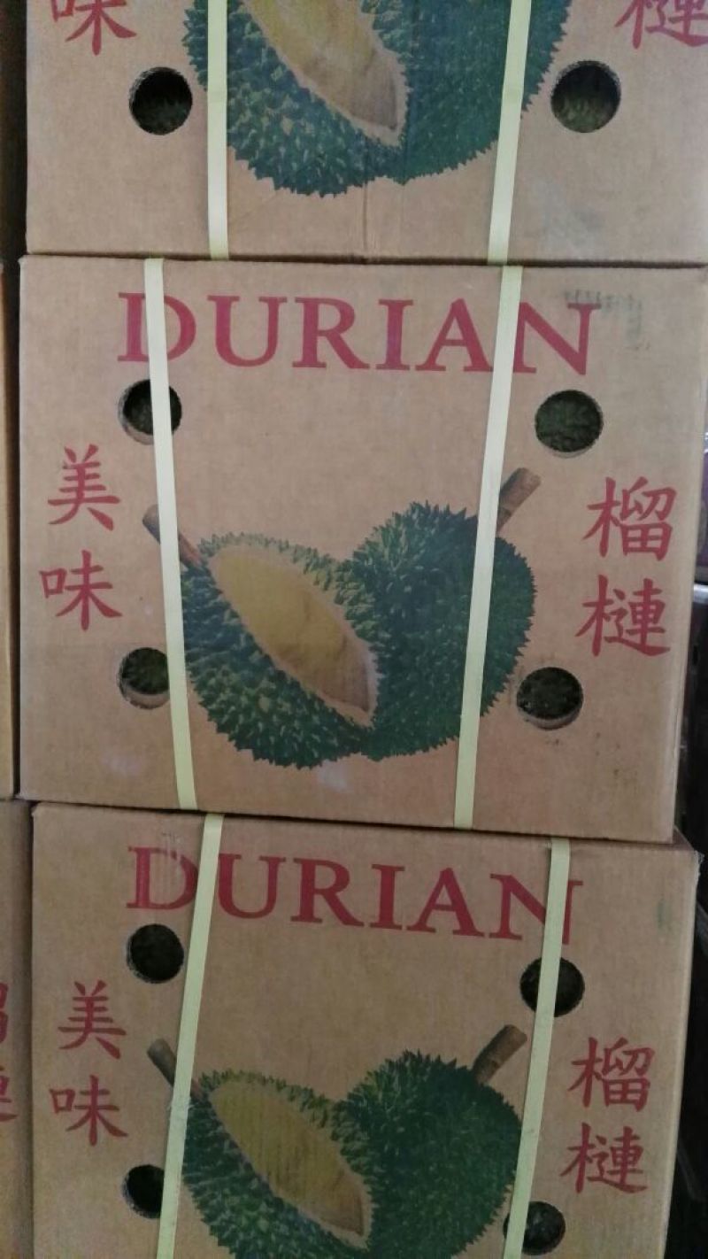 泰国榴莲