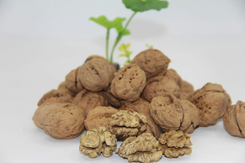 薄皮核桃去皮干
