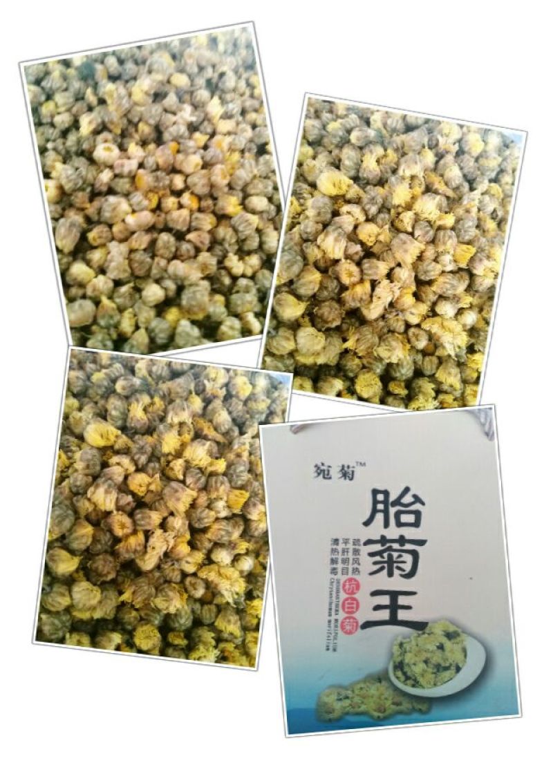 菊花茶