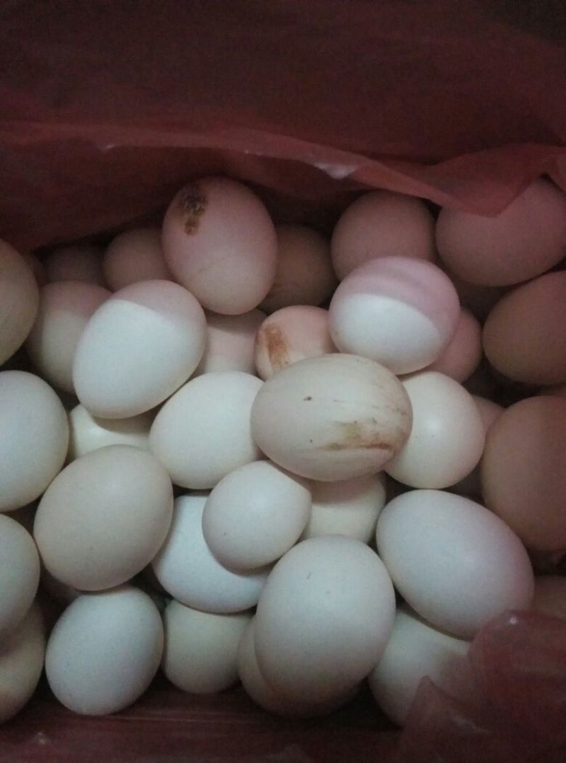 土鸡蛋食用50g以下