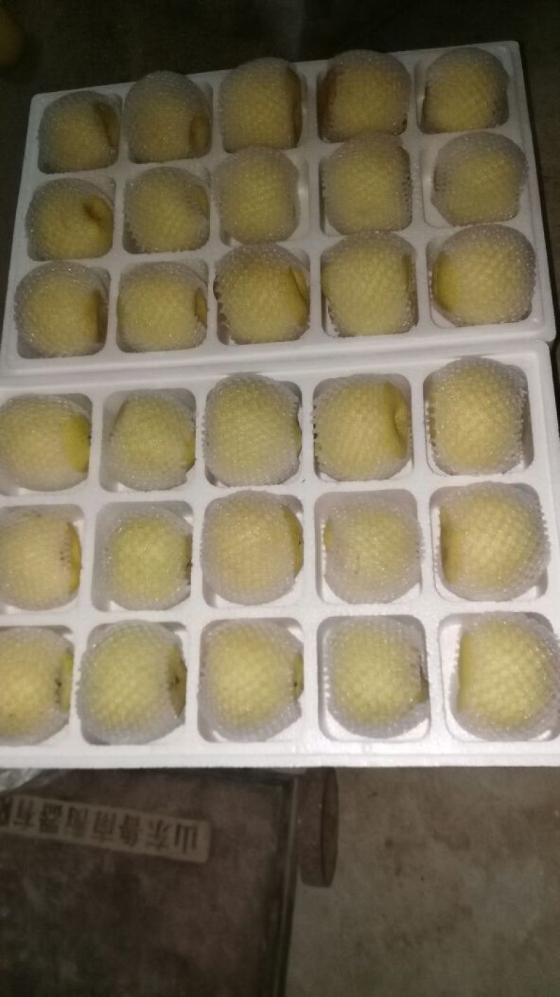 砀山梨250~300g纸箱