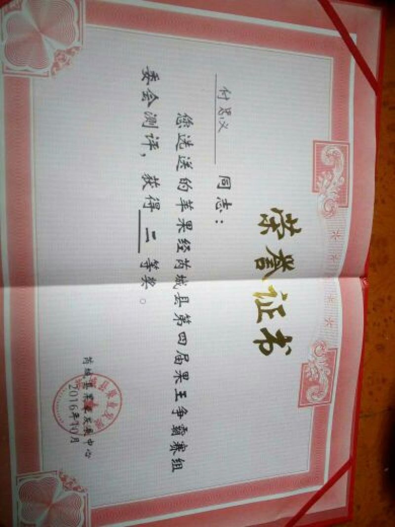 苹果70mm以上纸+膜袋