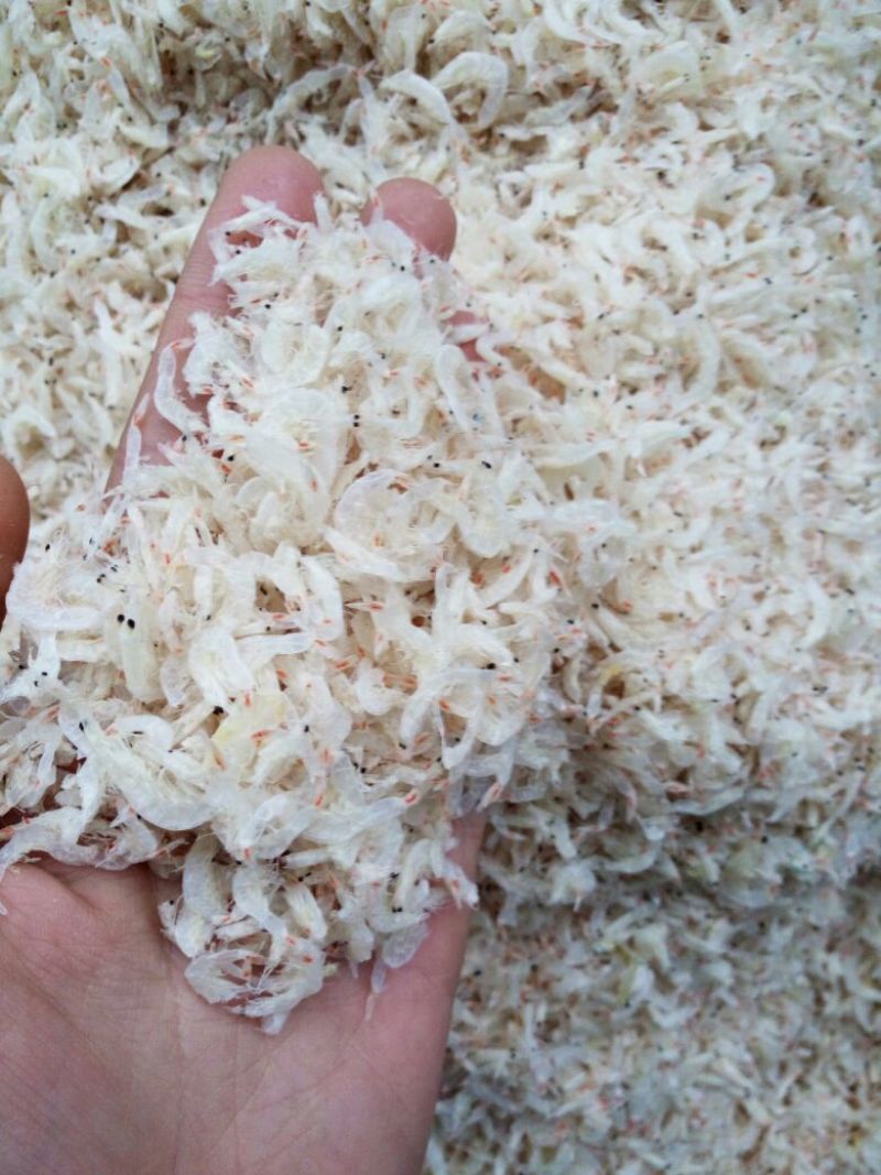 山东省渤海湾无盐淡干虾皮现货速发新鲜一级