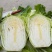 大白菜
