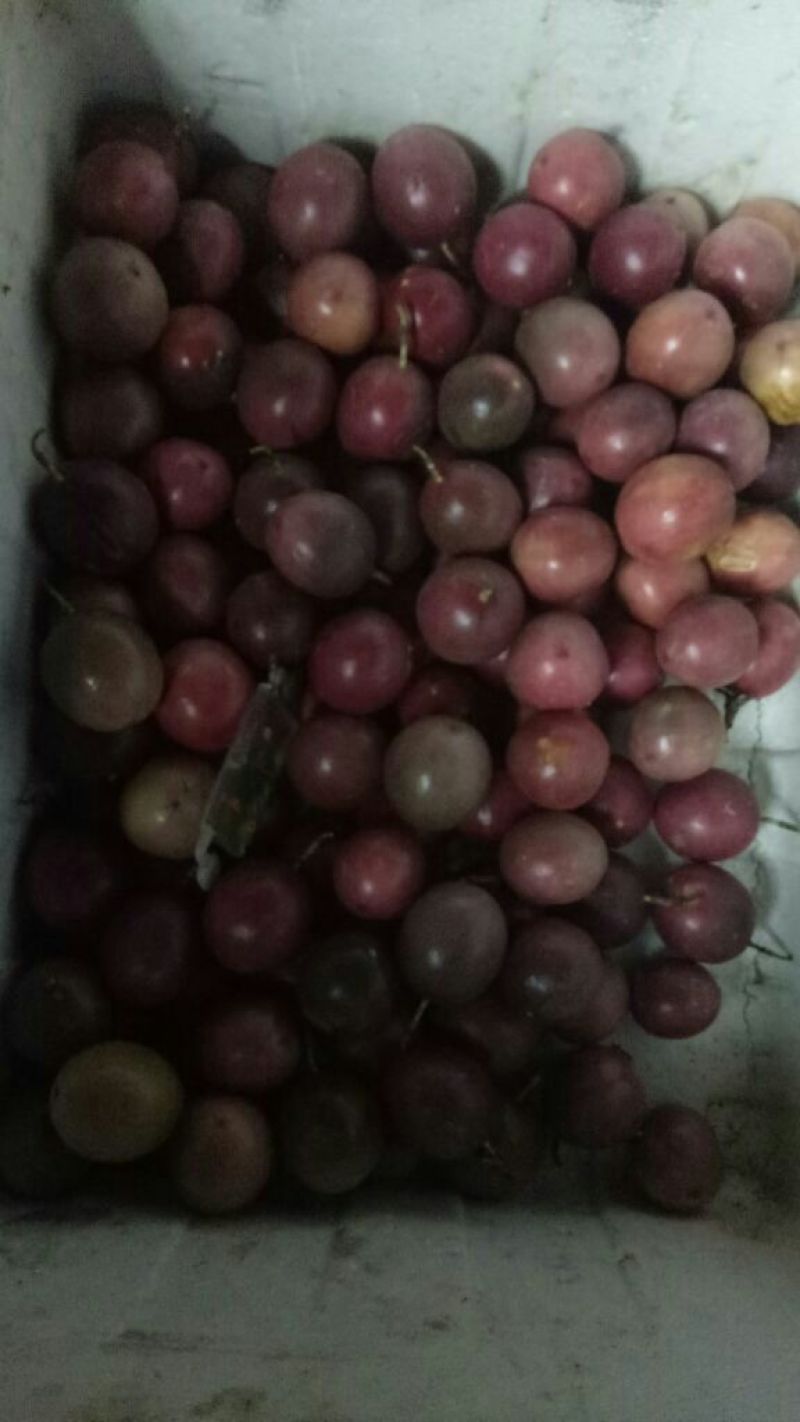 百香果70~80g紫果