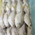 黄鱼