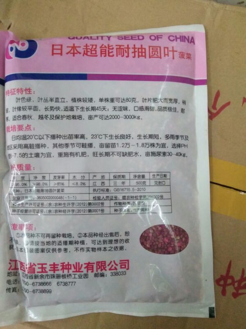 菠菜35~40厘米