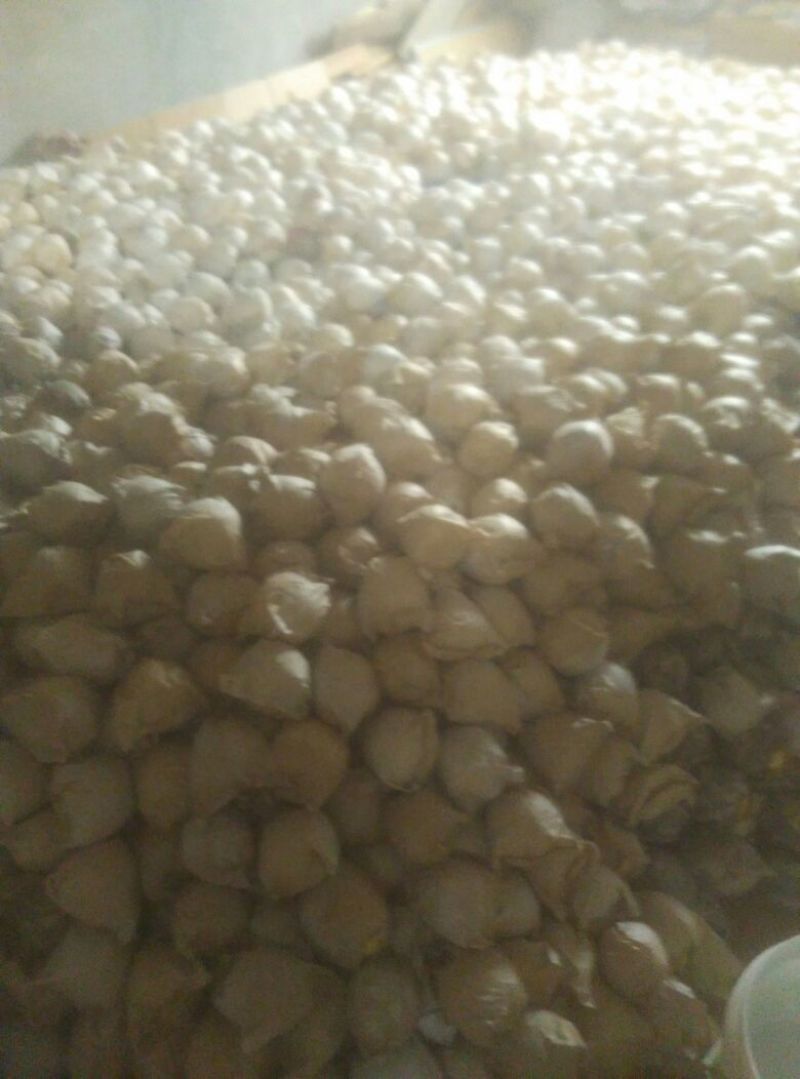 贡梨100~150g纸箱