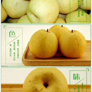 砀山梨60~100g纸箱