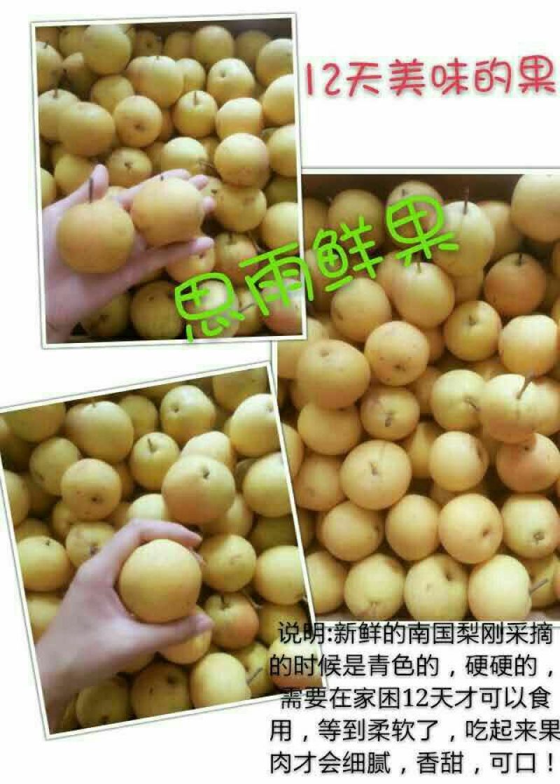 南果梨60~100g纸箱