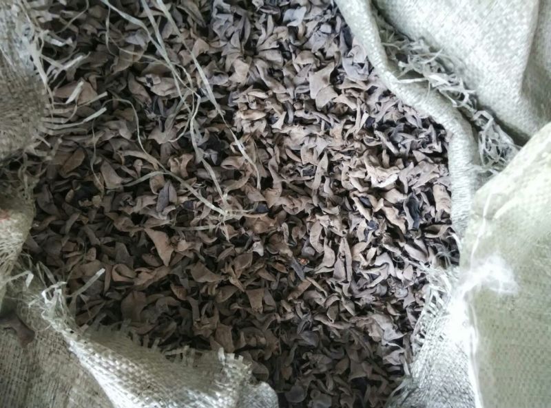 干木耳一级