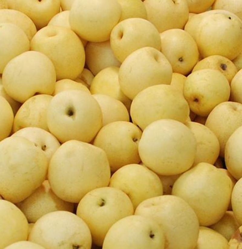 皇冠梨250~300g纸箱