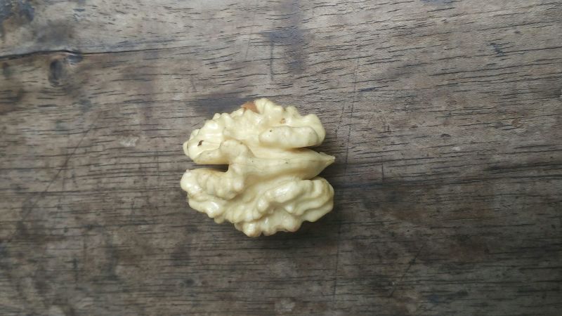 薄皮核桃去皮