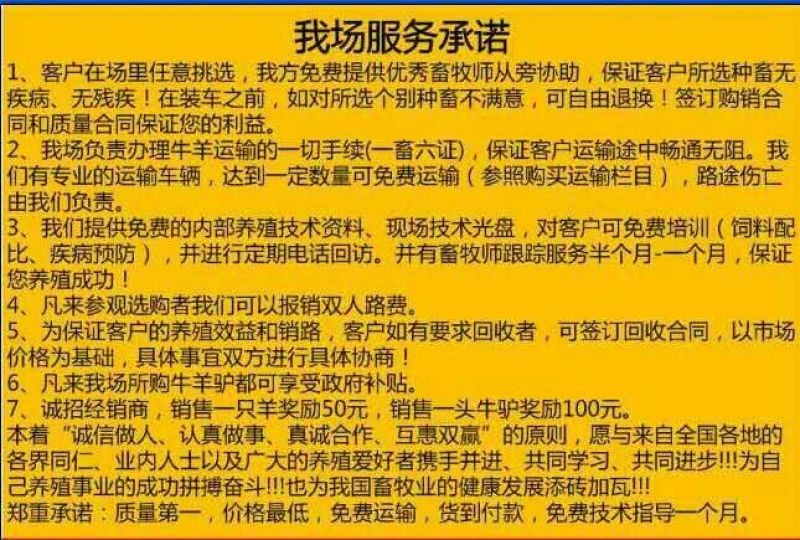 肉驴苗