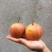 红梨