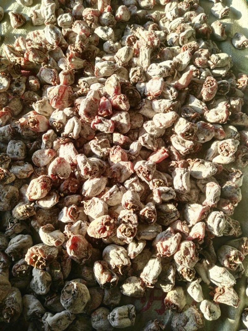 柿饼1~2两