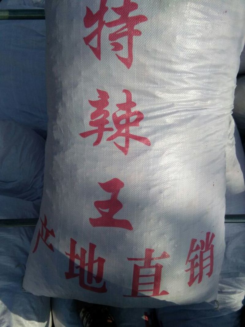 辣椒王5~10厘米特辣红产地直发量大优惠欢迎下单咨询
