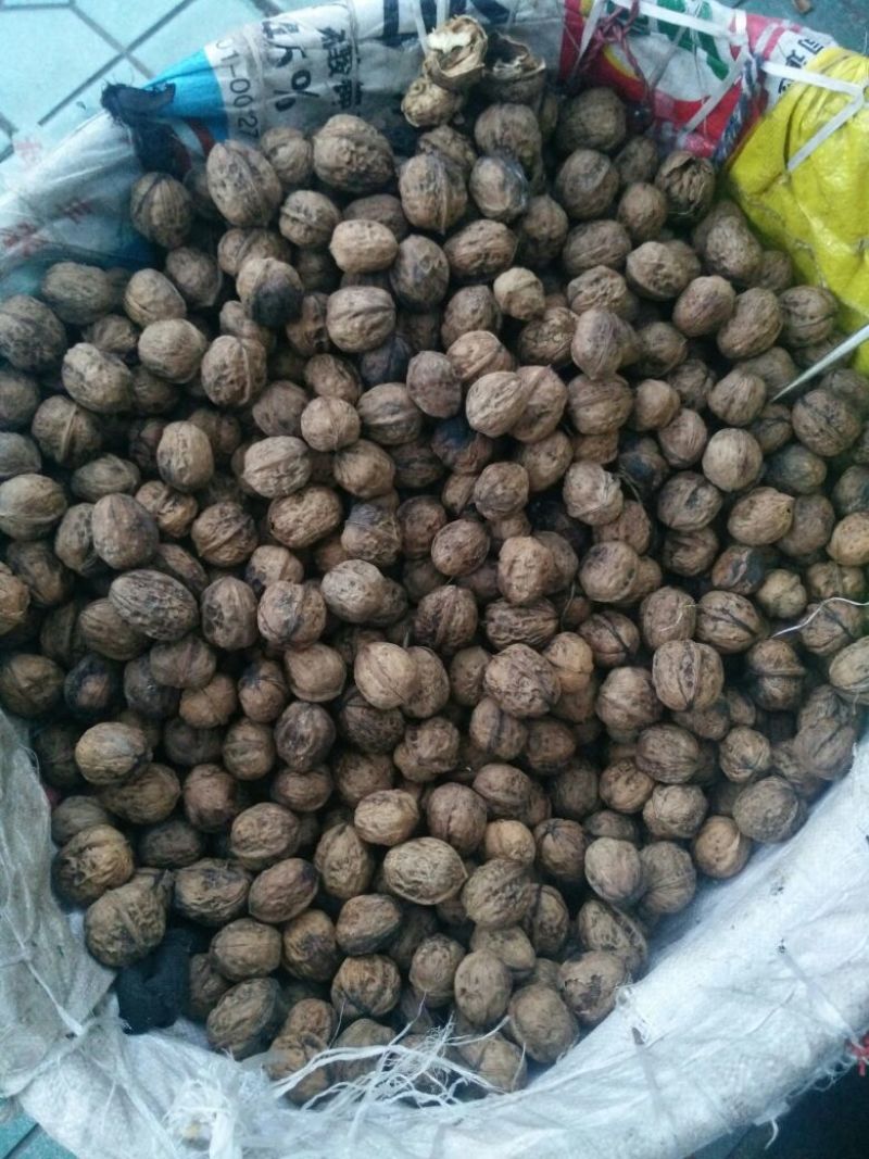 泡核桃30mm以上去皮