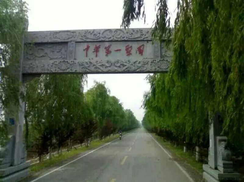 丰水梨，口感脆甜，个大皮薄，适合大型超市，市场