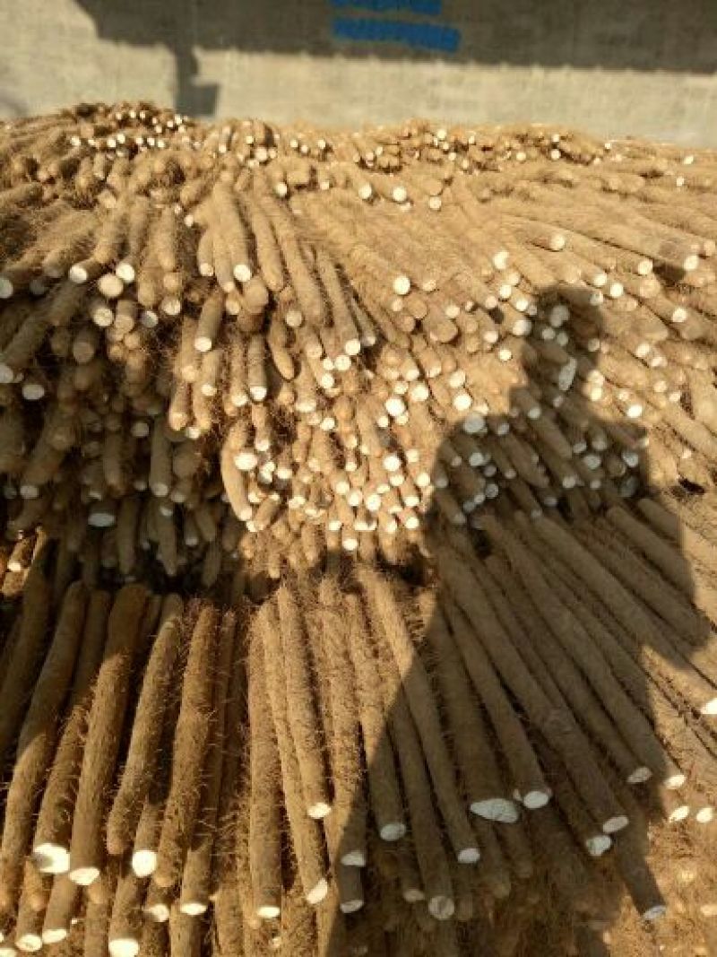 白玉山药3~4厘米50~70厘米一级