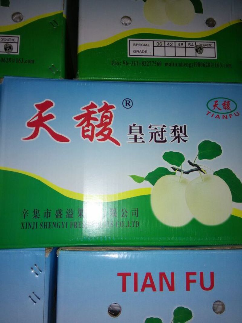 皇冠梨250~300g纸箱