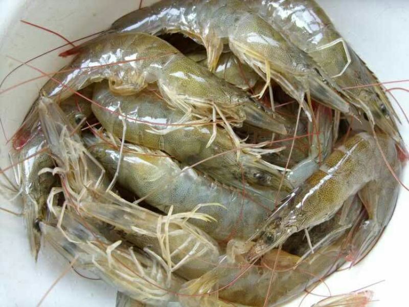 虾干二级