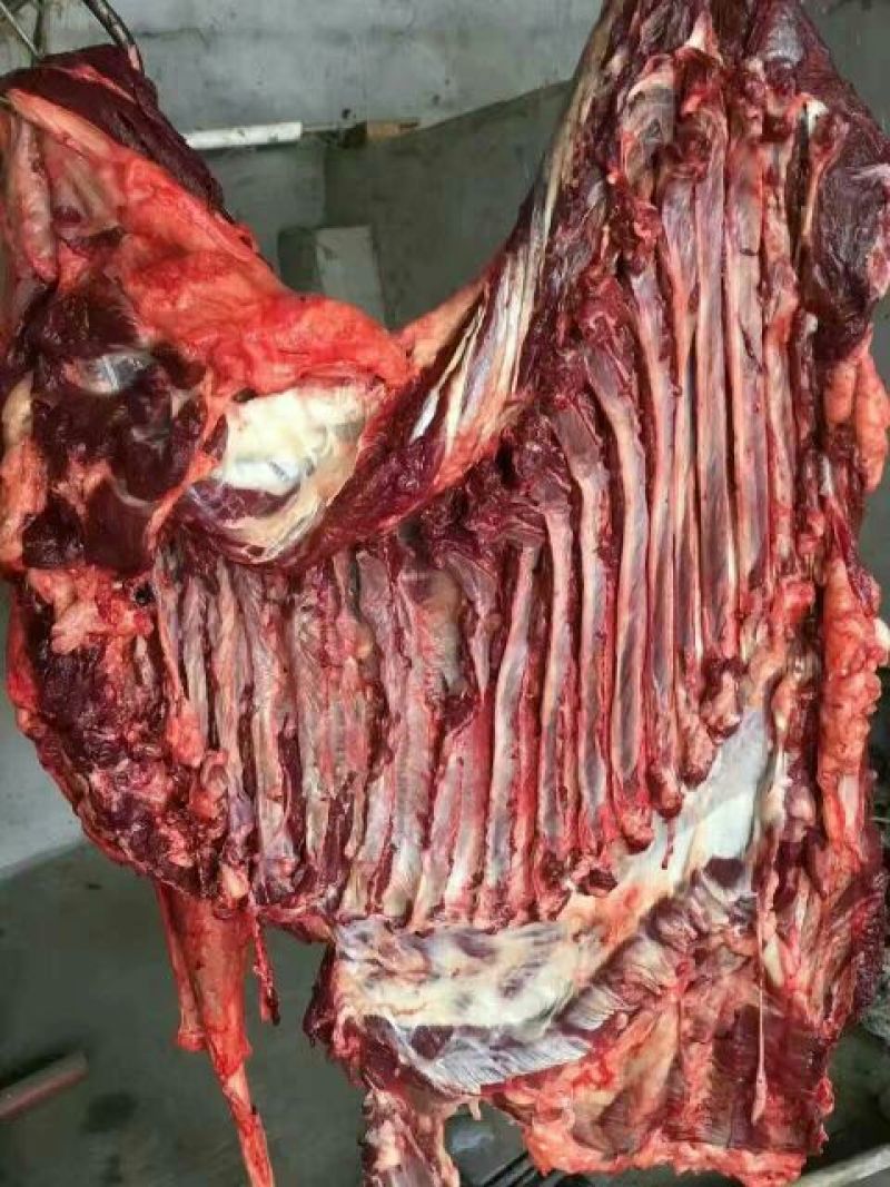 驴肉