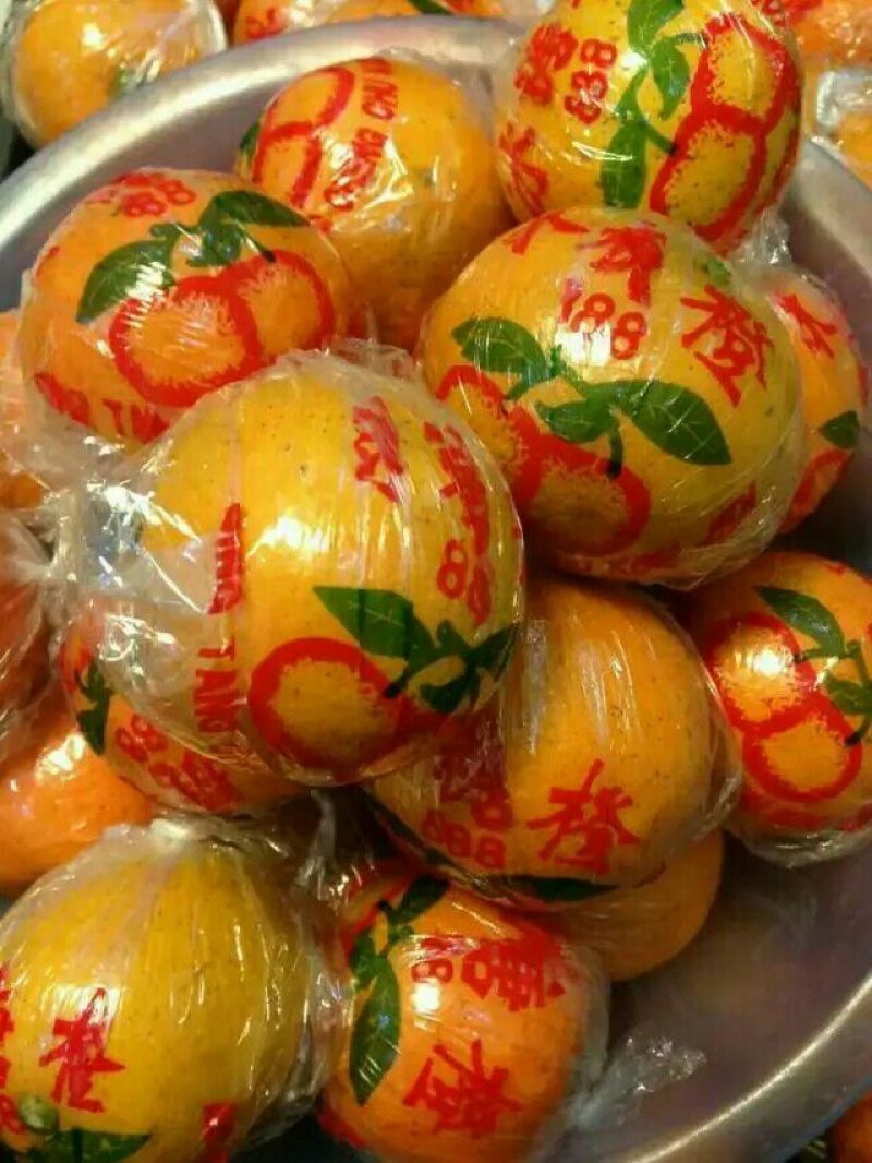 冰糖橙