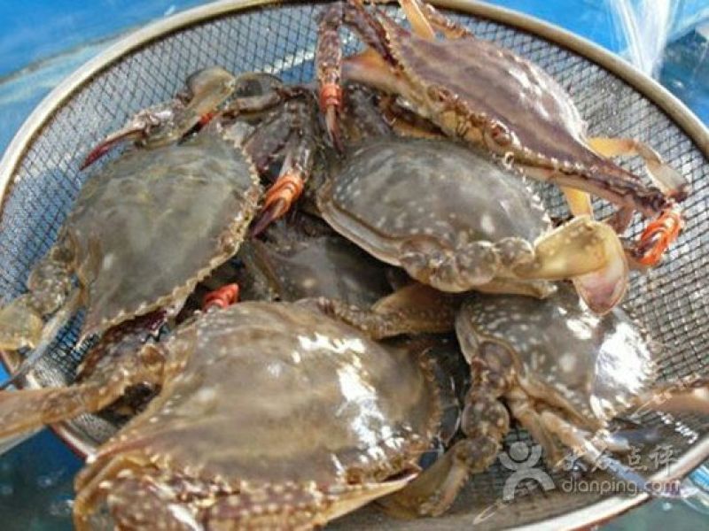 梭子蟹食用