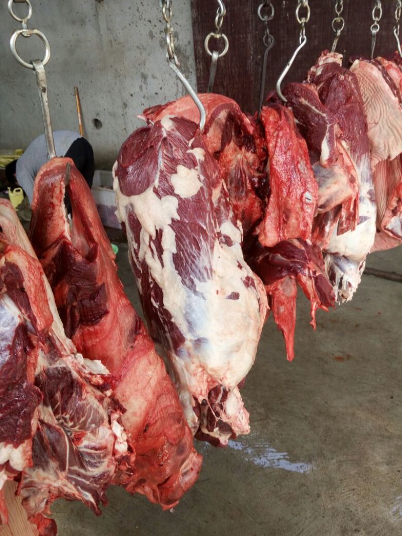 驴肉