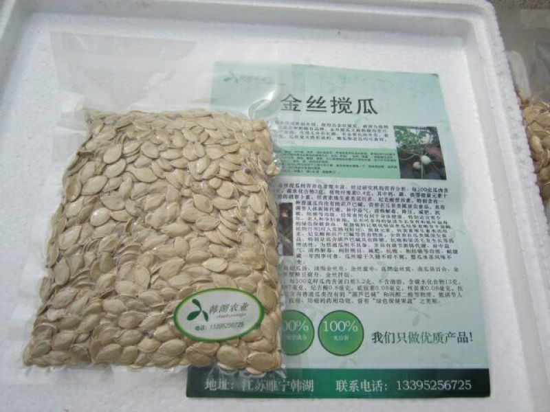 无蔓金丝瓜种子
