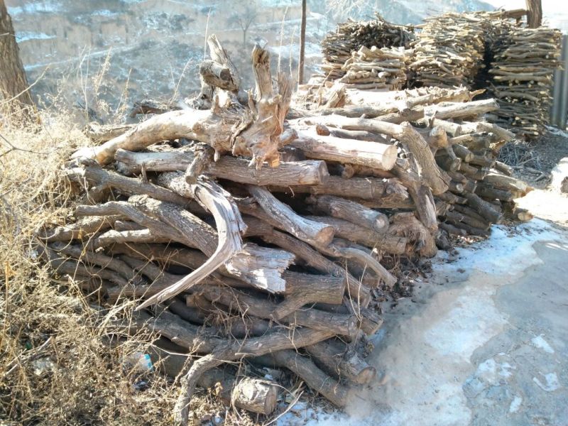 滩枣鲜枣通货